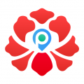 牡丹停安卓版