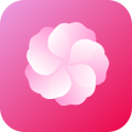 芙蓉安卓版