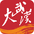 大武汉安卓版