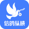 信鸽纵横安卓版