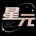 星元数字藏品平台 官网版