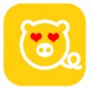 全民养猪 最新版