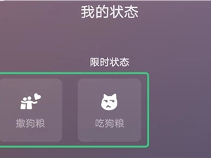 吃撑！微信520“限时状态”上线：仅限今明2天