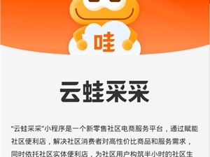 阿里微信端上线“云蛙采采”小程序  构筑半小时社区生活服务圈