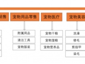企业微信管理系统探马SCRM宠物行业私域案例拆解