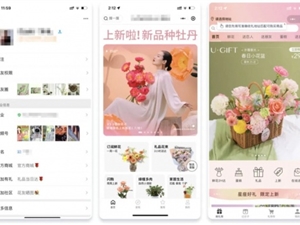 企业微信管理系统探马SCRM互联网鲜花行业私域案例拆解分析