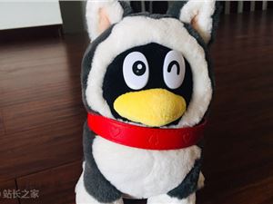 腾讯退出拍卖平台微拍堂股东