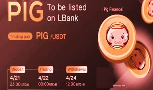 pig猪猪币手机app安卓 安卓pig币版app下载-第1张图片-欧易交易所