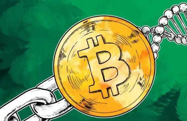 比特币sv最新版本下载官方  比特币sv手机端下载-第1张图片-欧易交易所