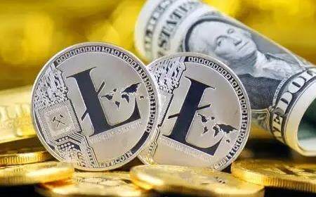 莱特币手机端下载 莱特币app安卓版下载-第1张图片-欧易交易所
