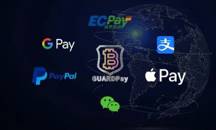 支付概念定义