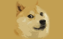 狗狗币概念定义