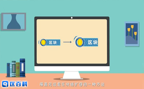隔离见证