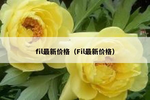 fil最新价格（Fil最新价格）1