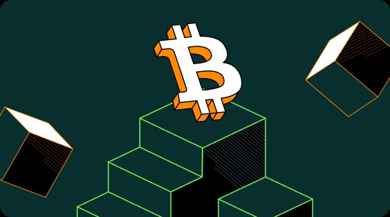 最安全虚拟数字钱包有哪些 十大最安全的数字钱包