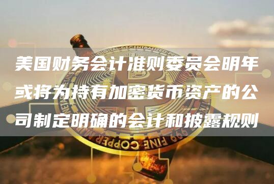 美国财务会计准则委员会明年或将为持有加密货币资产的公司制定明确的会计和披露规则1