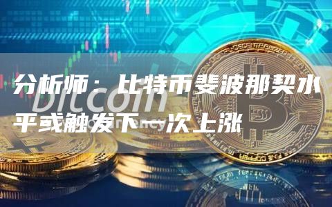 分析师：比特币斐波那契水平或触发下一次上涨1