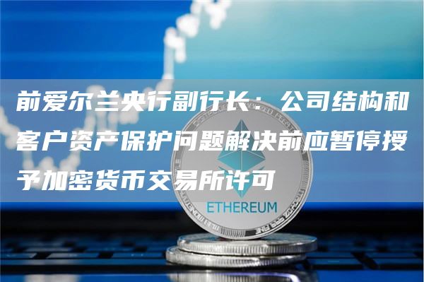 前爱尔兰央行副行长：公司结构和客户资产保护问题解决前应暂停授予加密货币交易所许可1