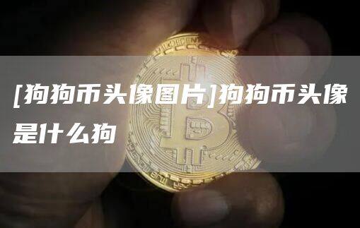 [狗狗币头像图片]狗狗币头像是什么狗-第1张图片-欧意下载