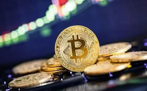 带比特币的交易软件有哪些？比特币转交易平台-第3张图片-欧意下载