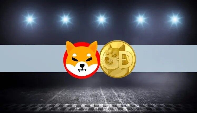 柴犬币在哪里买靠谱？正规SHIB交易所大盘点-第1张图片-交易所