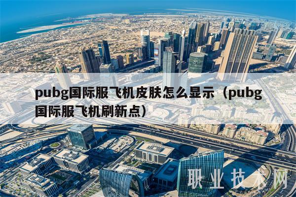 pubg国际服飞机皮肤怎么显示（pubg国际服飞机刷新点）-第1张图片-交易所
