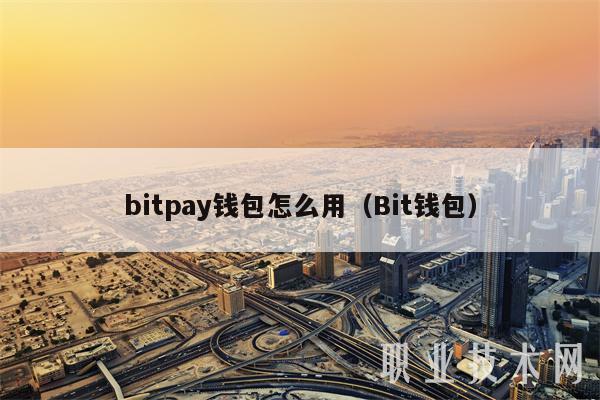 bitpay钱包怎么用（Bit钱包）-第1张图片-交易所