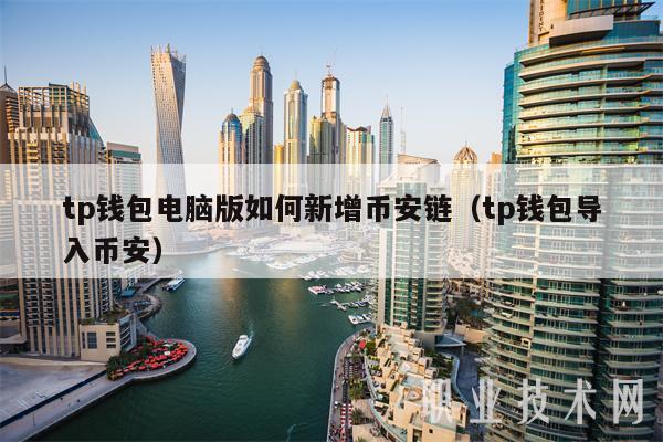 tp钱包电脑版如何新增binance链（tp钱包导入binance）-第1张图片-交易所