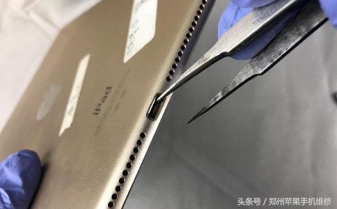 ipad不能充电（ipad闲置太久充不了电）-第5张图片-交易所
