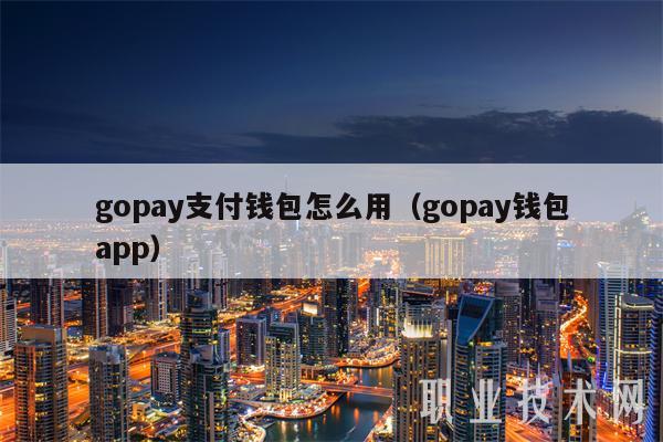gopay支付钱包怎么用（gopay钱包app）-第1张图片-交易所