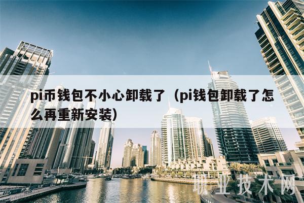pi币钱包不小心卸载了（pi钱包卸载了怎么再重新安装）-第1张图片-交易所