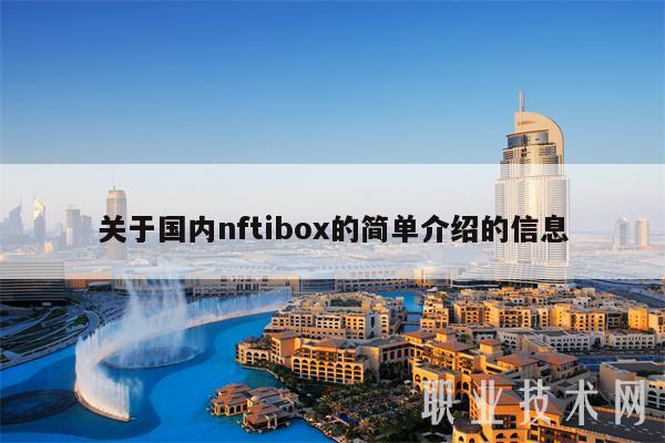 关于国内nftibox的简单介绍的信息-第1张图片-交易所