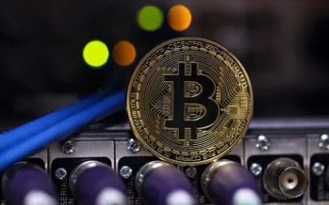 国外btc交易平台有哪些|老外爱用的比特币app-第2张图片-交易所