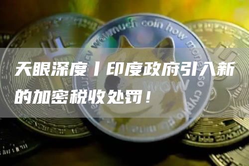 天眼深度丨印度政府引入新的加密税收处罚！-第1张图片-交易所
