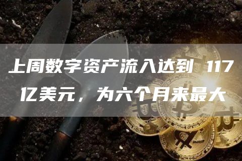 上周数字资产流入达到117亿美元，为六个月来最大1