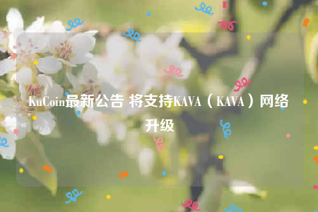 KuCoin最新公告 将支持KAVA（KAVA）网络升级-第1张图片-交易所