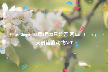 Gate Charity 23年3月23日公告 购Gate Charity 关爱流浪动物NFT-第1张图片-交易所