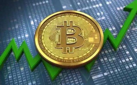 什么平台买比特币|虚拟币交易平台软件-第7张图片-交易所