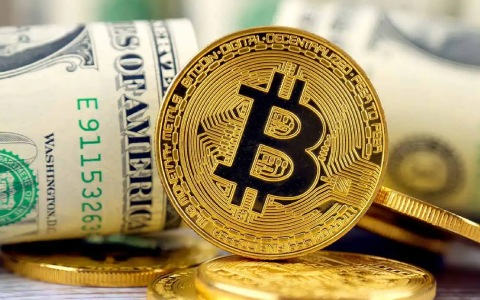 比特币交易平台有那些_比特币交易平台app哪个好-第5张图片-交易所