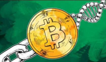 虚拟币交易平台怎么注册|比特币交易平台都有哪些-第2张图片-交易所