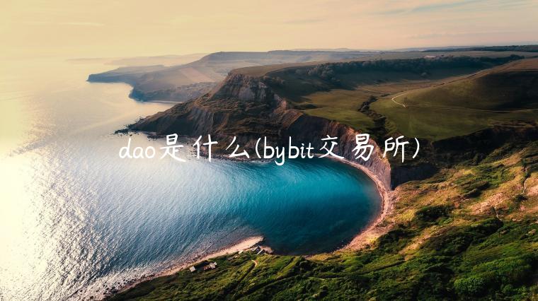 dao是什么 - bybit 交易平台-第1张图片-交易所