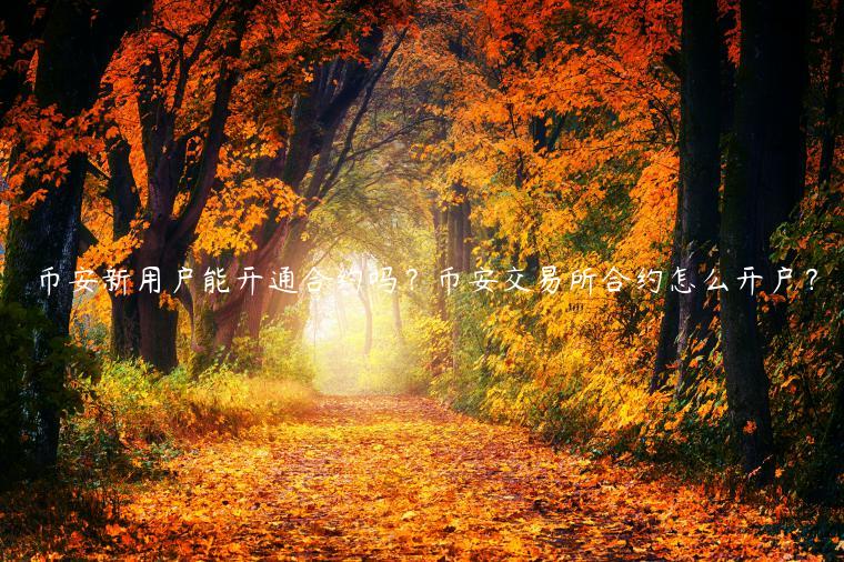 binance新用户能开通合约吗？binance 交易平台合约怎么开户？-第1张图片-交易所