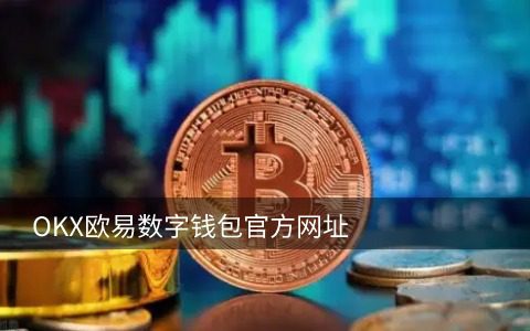国外炒币用什么平台|比特币最大的交易平台-第1张图片-交易所