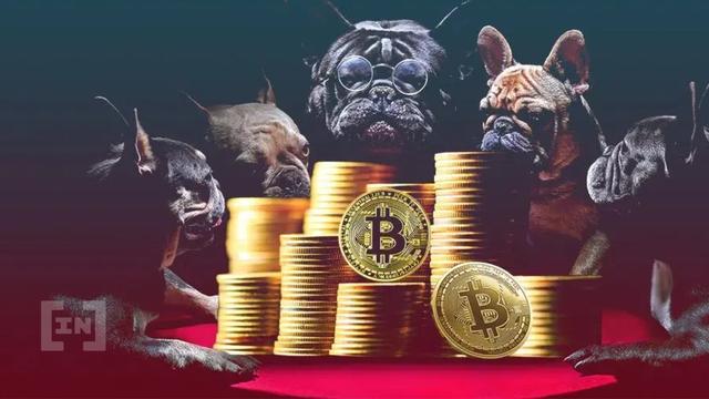 btc为什么,btc会不会归零-第1张图片-交易所