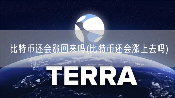 比特币还会涨回来吗(比特币还会涨上去吗)-第1张图片-交易所