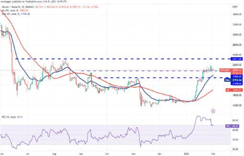 比特币最新价格行情 BTC今日最新价格-第3张图片-交易所