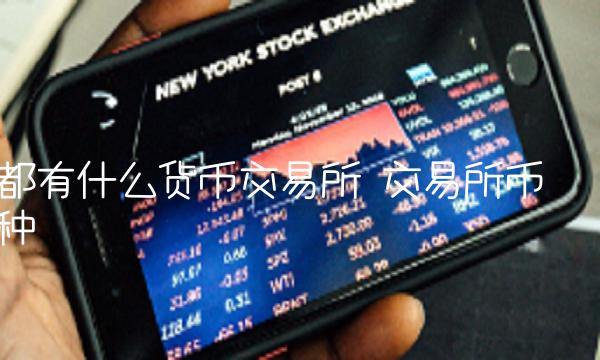 都有什么货币交易所-第1张图片-交易所