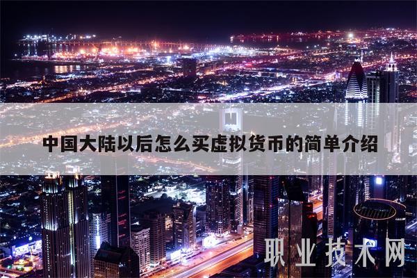 中国大陆以后怎么买虚拟货币的简单介绍-第1张图片-交易所