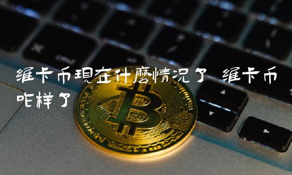 维卡币现在什么情况了 维卡币咋样了-第1张图片-交易所