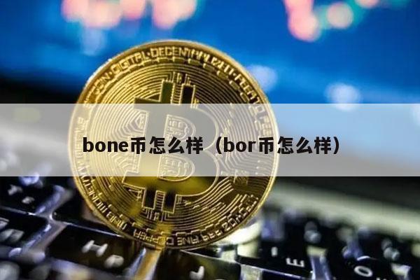 bon币怎么样（bor币怎么样-第1张图片-交易所